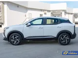 Nissan Kicks - Daily 180 QR